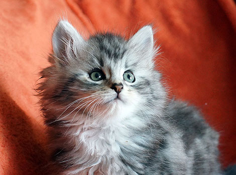 Karlo am 20. September 2021